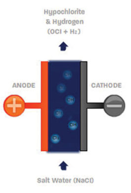 electrochlorinationdiagram